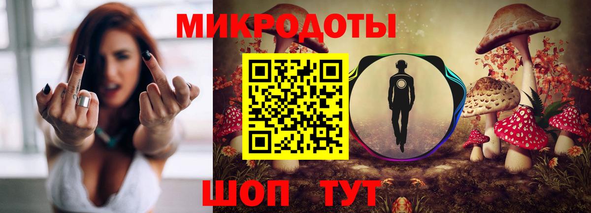 Рассказово  сколько стоит  Вход с VPN  Псилоцибиновые грибы Cubensis 